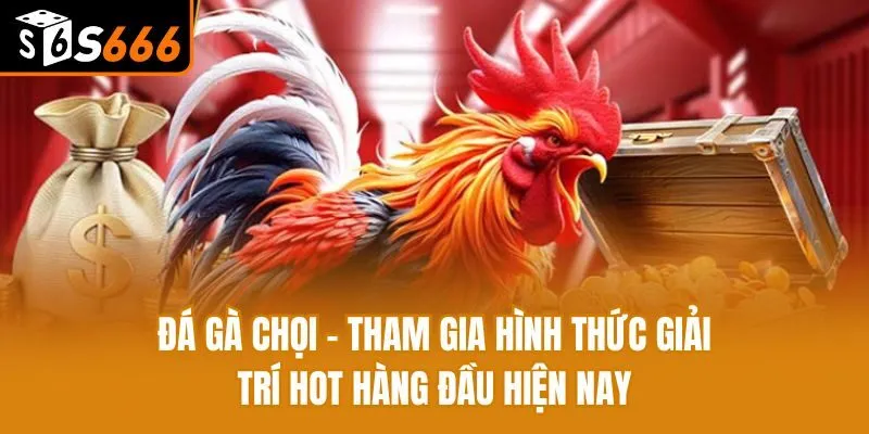 Đá Gà Chọi - Tham Gia Hình Thức Giải Trí Hot Hàng Đầu Hiện Nay Đá Gà Chọi - Tham Gia Hình Thức Giải Trí Hot Hàng Đầu Hiện Nay