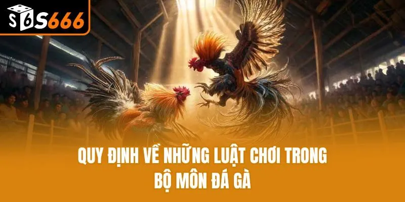 Đá Gà Chọi - Tham Gia Hình Thức Giải Trí Hot Hàng Đầu Hiện Nay Quy định về những luật chơi trong bộ môn đá gà
